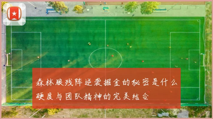 森林狼残阵逆袭掘金的秘密是什么硬度与团队精神的完美结合